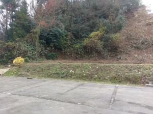 IMAG0249.jpg