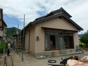 IMAG0492.jpg
