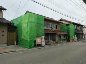 IMAG0691.jpg